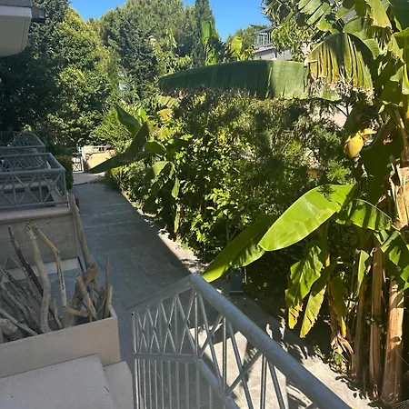 Apartment In The